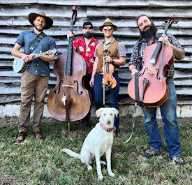 Fiddlin’ Ray & the Turtle Snatchers